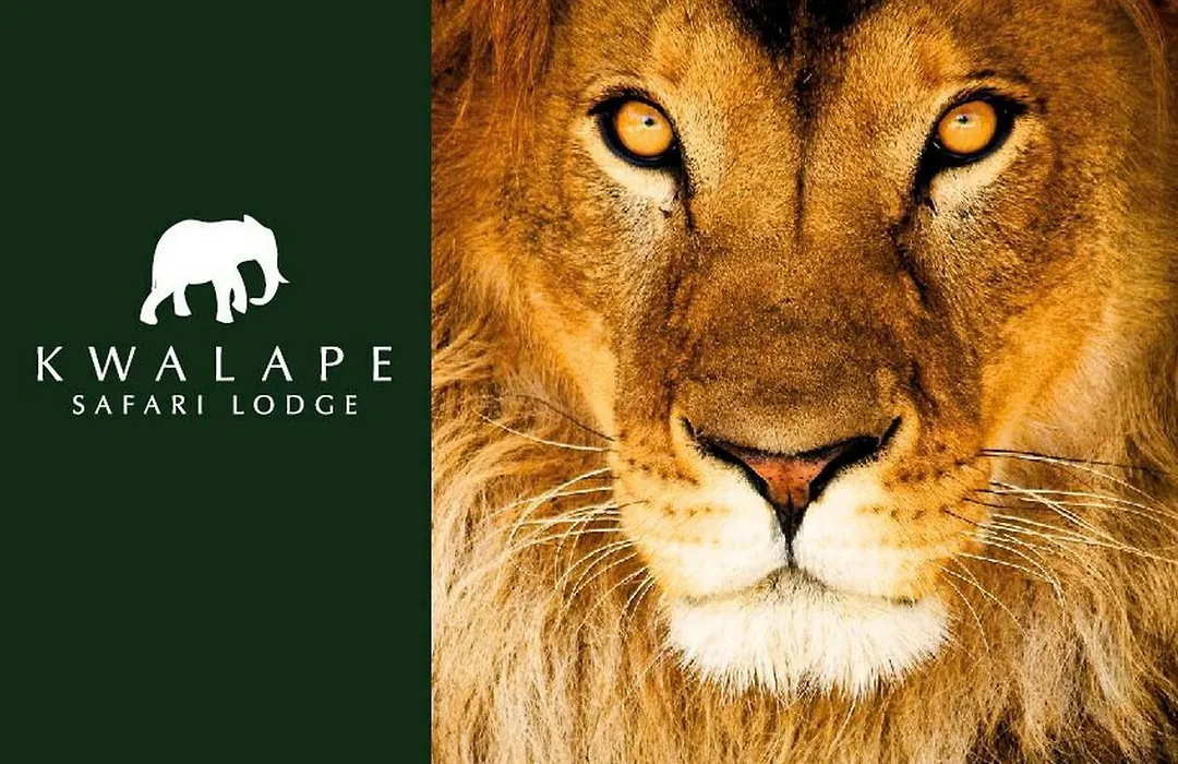 Kwalape Safari Lodge-1